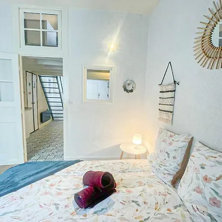 New Cosy Plume - T2 - 1 Ch- Hyper Centre - Wifi Apartment Pau