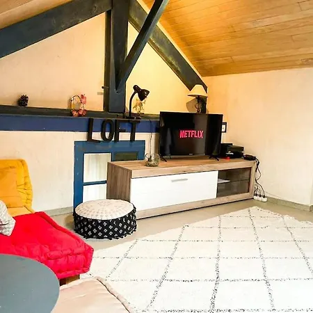 Apartment New Cosy Plume - T2 - 1 Ch- Hyper Centre - Wifi Pau